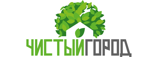 СЭС Чистый Город Заинск    